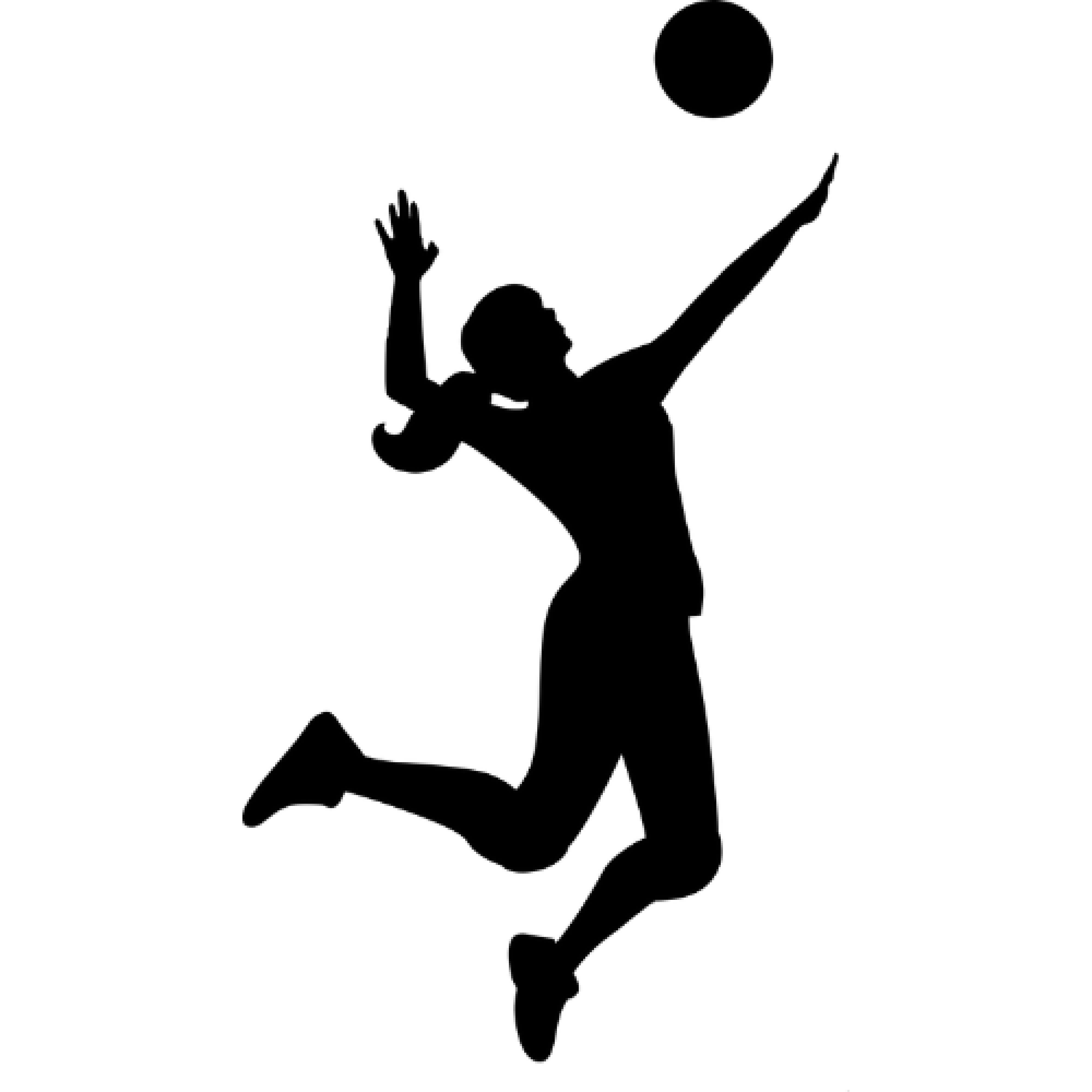 Volleyball Logo